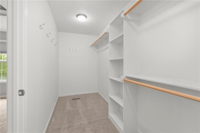 486 S 137th St, Bonner Springs, KS 66012 - photo 22