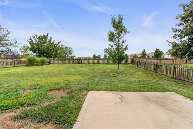 486 S 137th St, Bonner Springs, KS 66012 - photo 31
