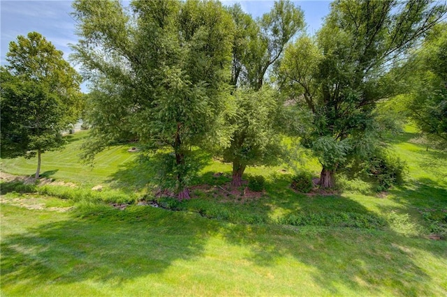 415 NW Ashurst Cir, Lees Summit, MO 64081 - photo 2