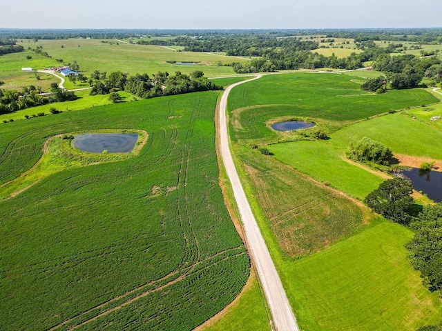 10859 SW Price Rd, Lathrop, MO 64465 - photo 12