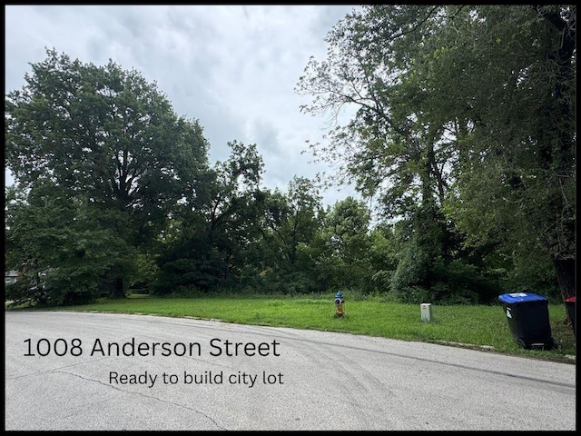 1008 Anderson St, Warrensburg, MO 64093 - photo 1