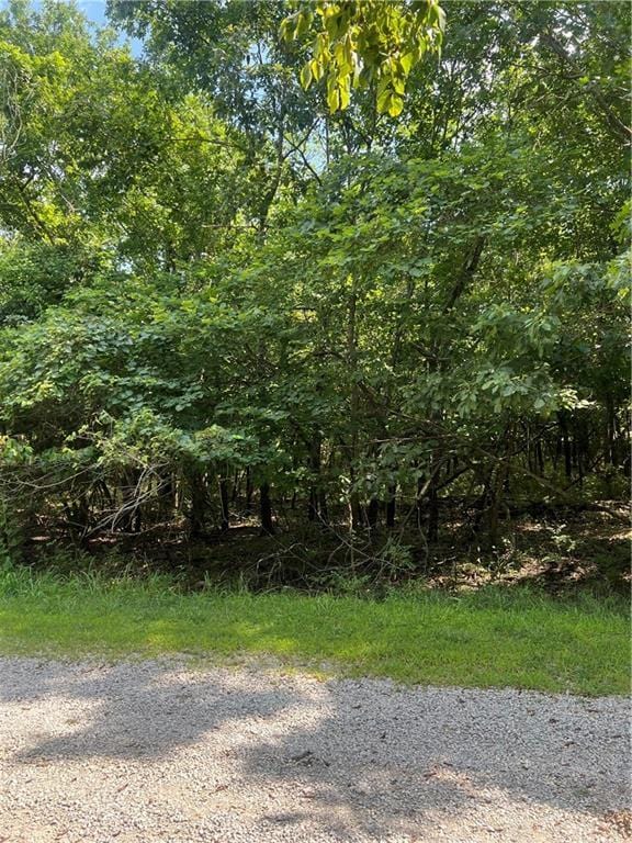 6 Misty Ln, La Cygne, KS 66040 - photo 4