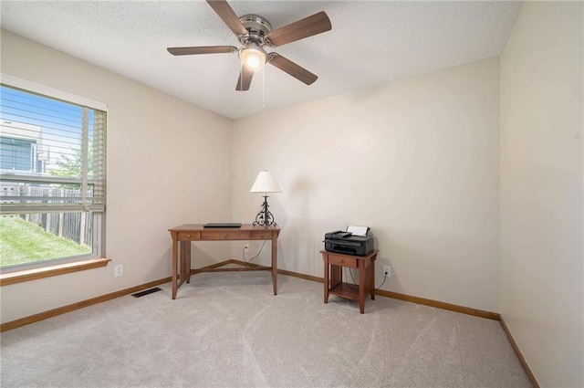 806 Sunflower St, Smithville, MO 64089 - photo 17
