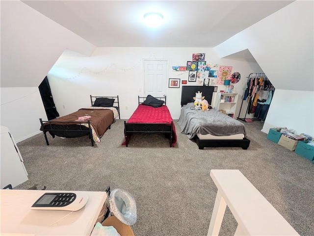 212 N Evergreen Ave, Chanute, KS 66720 - photo 40