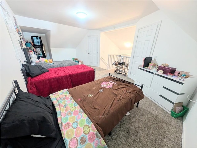 212 N Evergreen Ave, Chanute, KS 66720 - photo 41