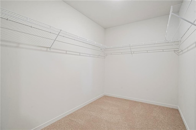 20214 Cornice St, Spring Hill, KS 66083 - photo 33