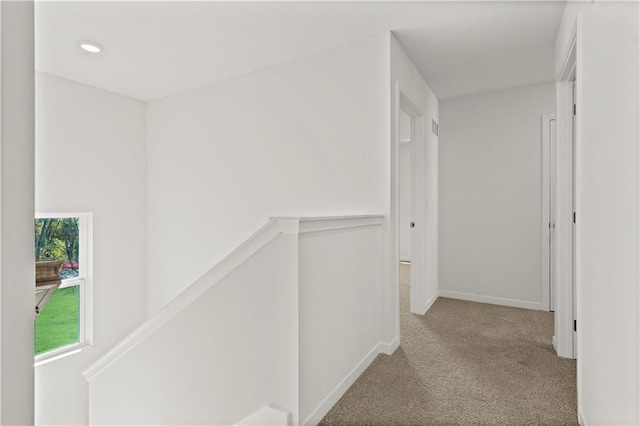 19595 W 202nd Ter, Spring Hill, KS 66083 - photo 19