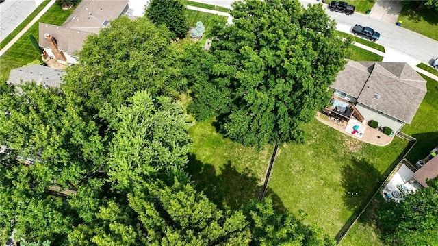 520 SE Country Ln, Lees Summit, MO 64063 - photo 37
