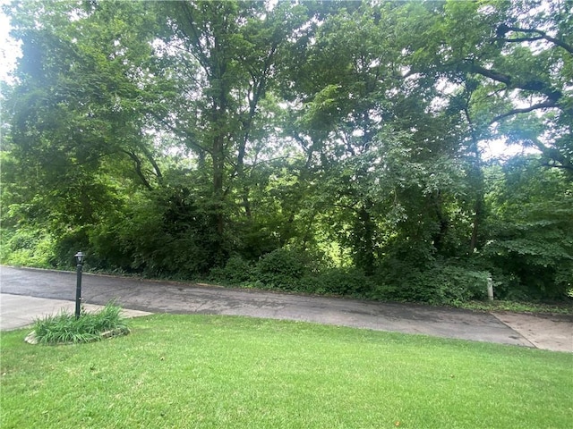 2505 Homestead Ln, Saint Joseph, MO 64506 - photo 49