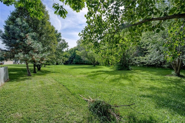 628 NE Swann Cir, Lees Summit, MO 64086 - photo 30