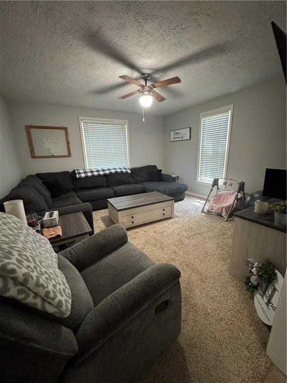 1301 S Edith Ave, Chanute, KS 66720 - photo 6