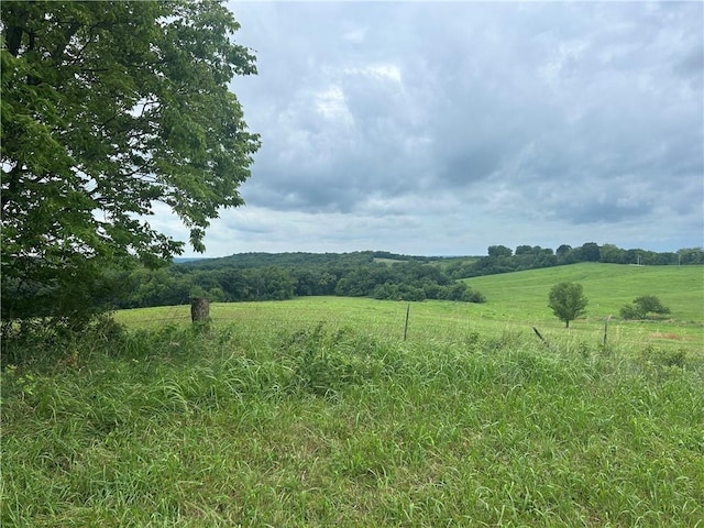 Southpoint Rd, Camden, MO 64017 - photo 1
