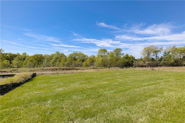 12505 N Arbor Way, Platte City, MO 64079 - photo 41