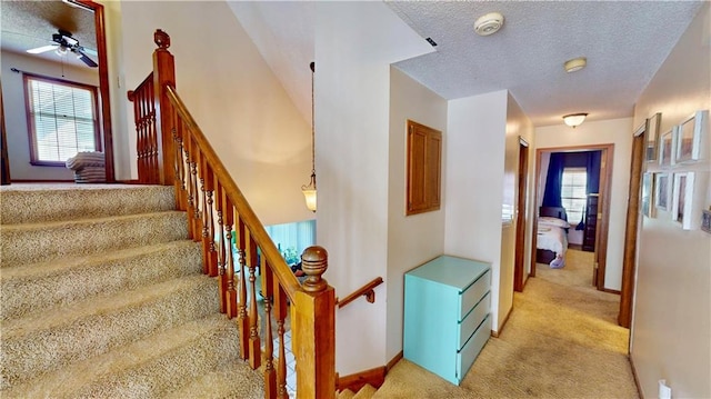 8626 Oakview Dr, Lenexa, KS 66215 - photo 10