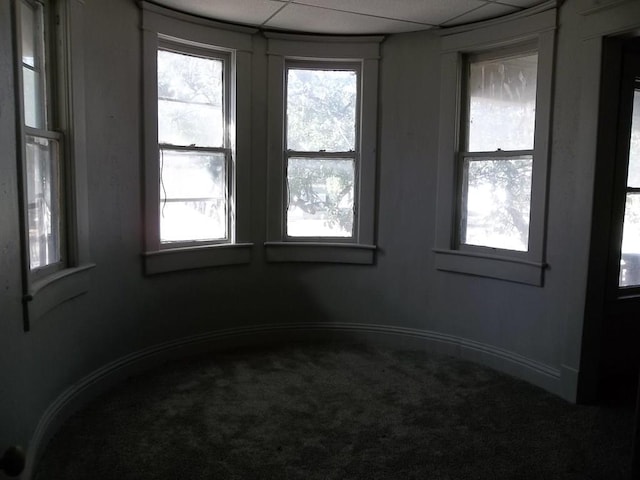 carpeted empty room featuring a drop ceiling