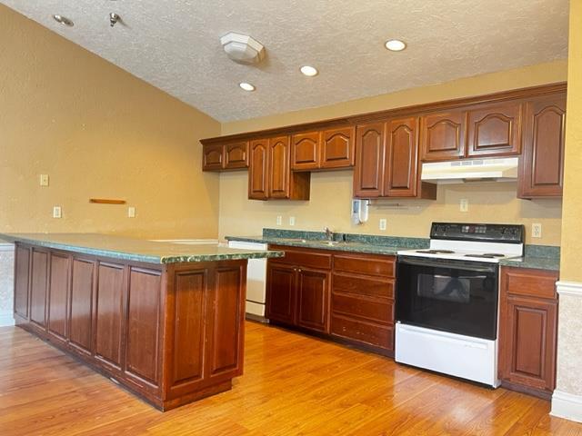kitchen featuring electric stove, a textured ceiling, dishwasher, light wood finished floors, and under cabinet range hood