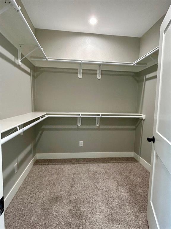 walk in closet with carpet floors