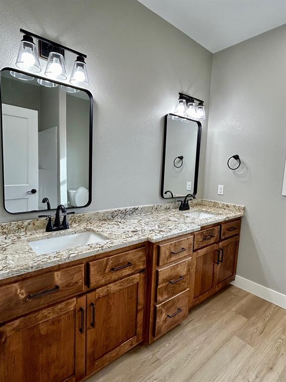 bathroom featuring wood-type flooring and vanity