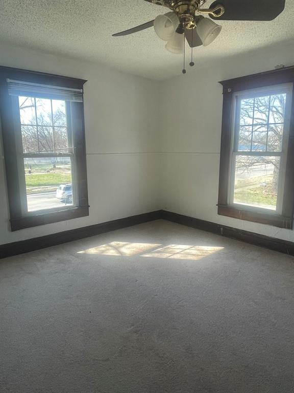 spare room featuring ceiling fan, carpet floors, and a textured ceiling