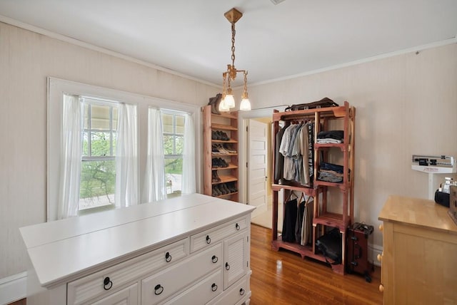 spacious closet with dark hardwood / wood-style floors