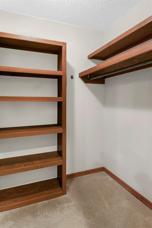 spacious closet with carpet