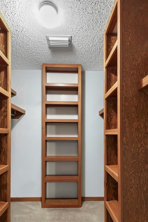 spacious closet featuring light carpet