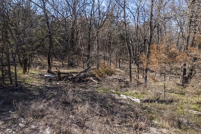 view of local wilderness