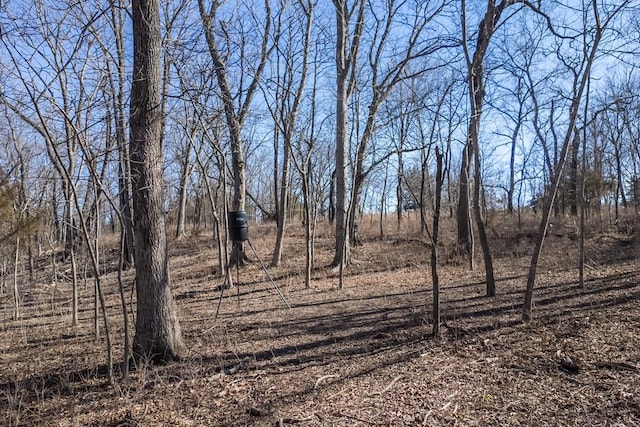 view of local wilderness