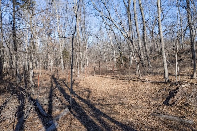 view of local wilderness