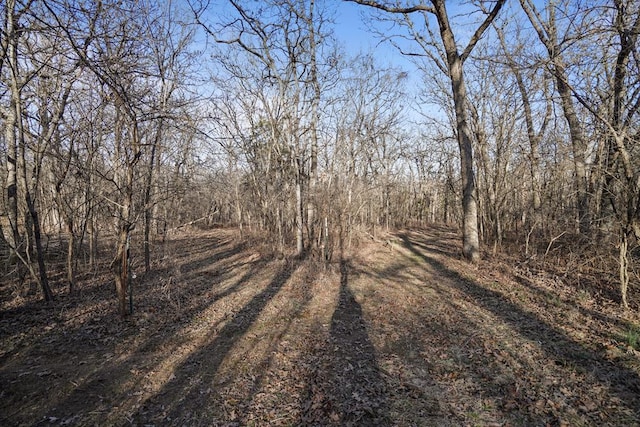 view of local wilderness