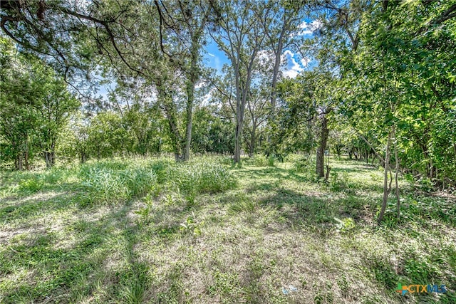 Listing photo 3 for 722 S Lbj Dr, San Marcos TX 78666