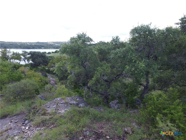 Listing photo 3 for 1516 Ensenada Dr, Canyon Lake TX 78133