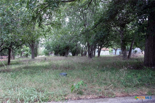 00 Laredo St, Lockhart, TX 78644