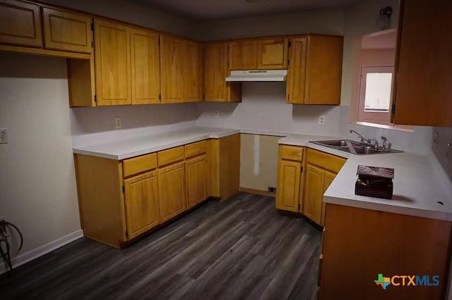 kitchen with sink and dark hardwood / wood-style flooring