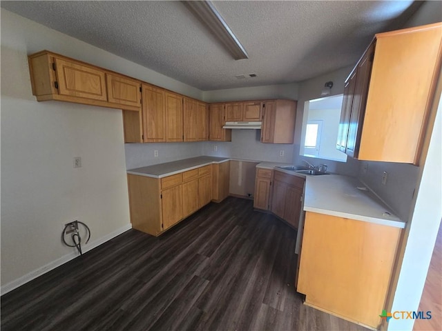 kitchen featuring sink, a textured ceiling, and dark hardwood / wood-style flooring