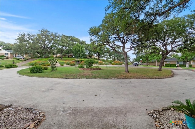 97 W Mimosa Cir, San Marcos, TX 78666 - photo 3