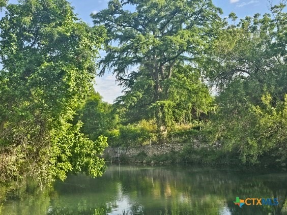 263 E Garden St, New Braunfels, TX 78130 - water view featuring a forest