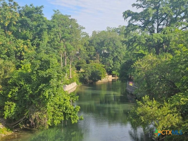263 E Garden St, New Braunfels, TX 78130 - water view featuring a heavily wooded area