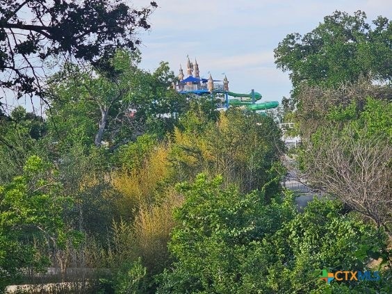 263 E Garden St, New Braunfels, TX 78130 - view of woods