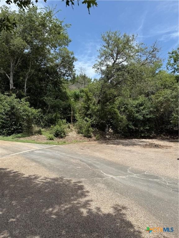 5505 Summerhill Ln, Temple, TX 76502 - photo 3