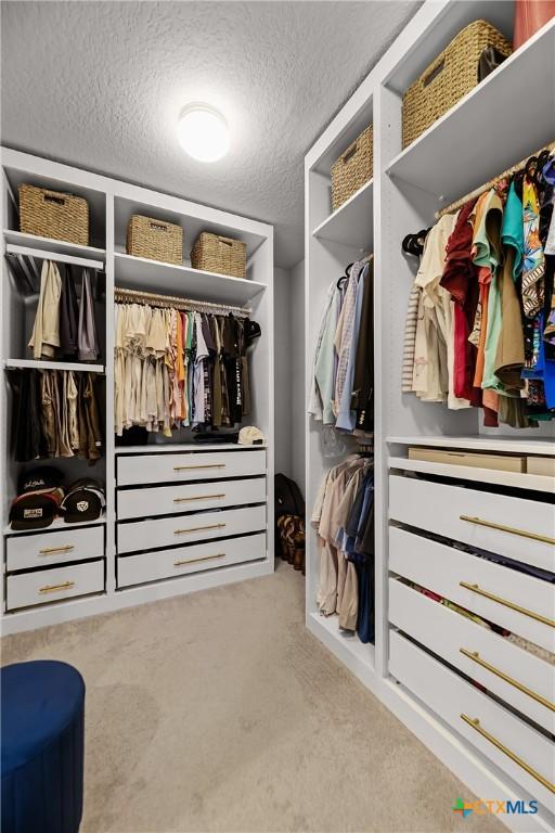 spacious closet with carpet