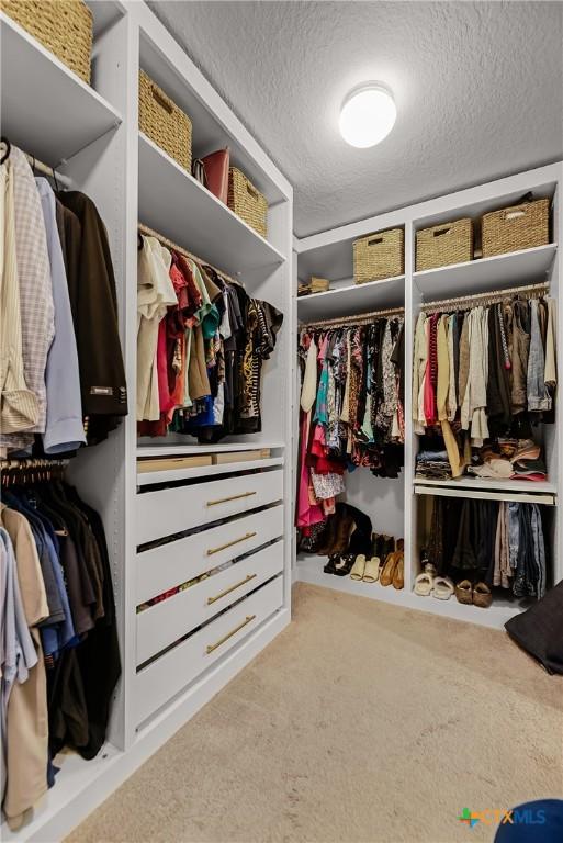 walk in closet featuring carpet floors