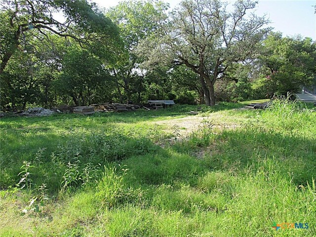 18678 Lanham St, Gatesville, TX 76528 - photo 3