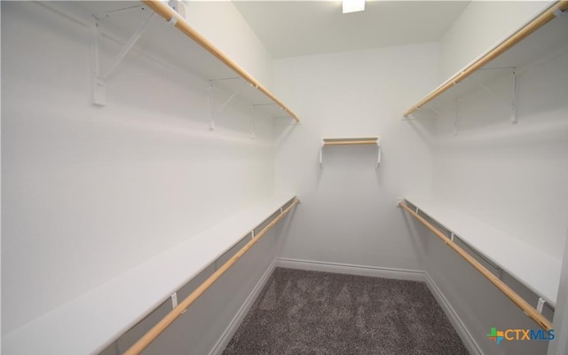 spacious closet featuring dark colored carpet