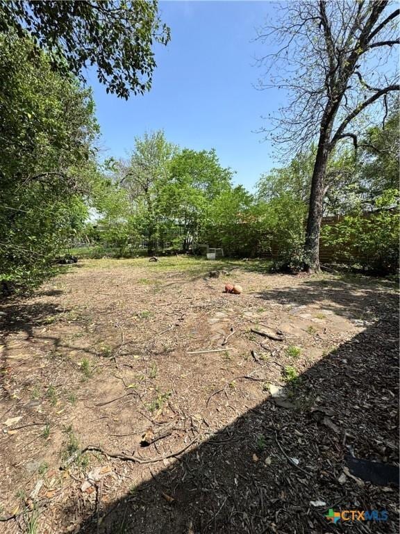 205 S Chestnut, Lampasas, TX 76550 - view of yard