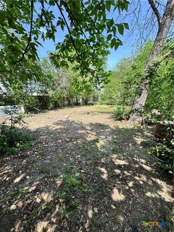205 S Chestnut, Lampasas, TX 76550 - view of yard