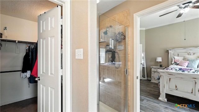 427 Roadrunner Ave, New Braunfels, TX 78130 - photo 35