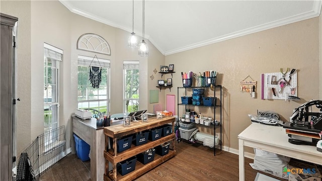 427 Roadrunner Ave, New Braunfels, TX 78130 - photo 9