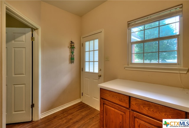 doorway with dark wood-type flooring