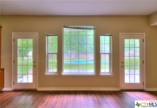 entryway featuring dark wood-type flooring and a healthy amount of sunlight